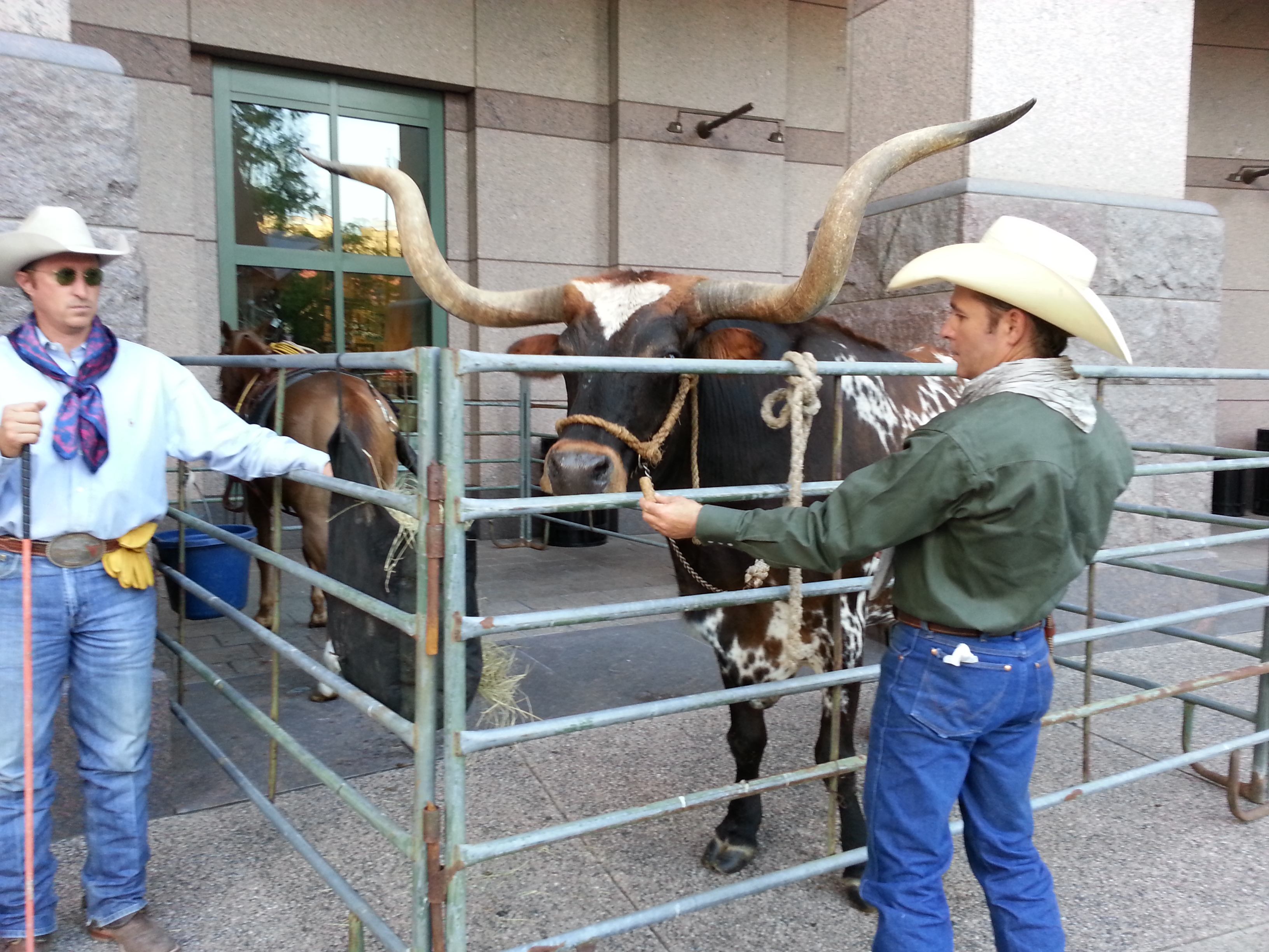 meet-greet-in-austin