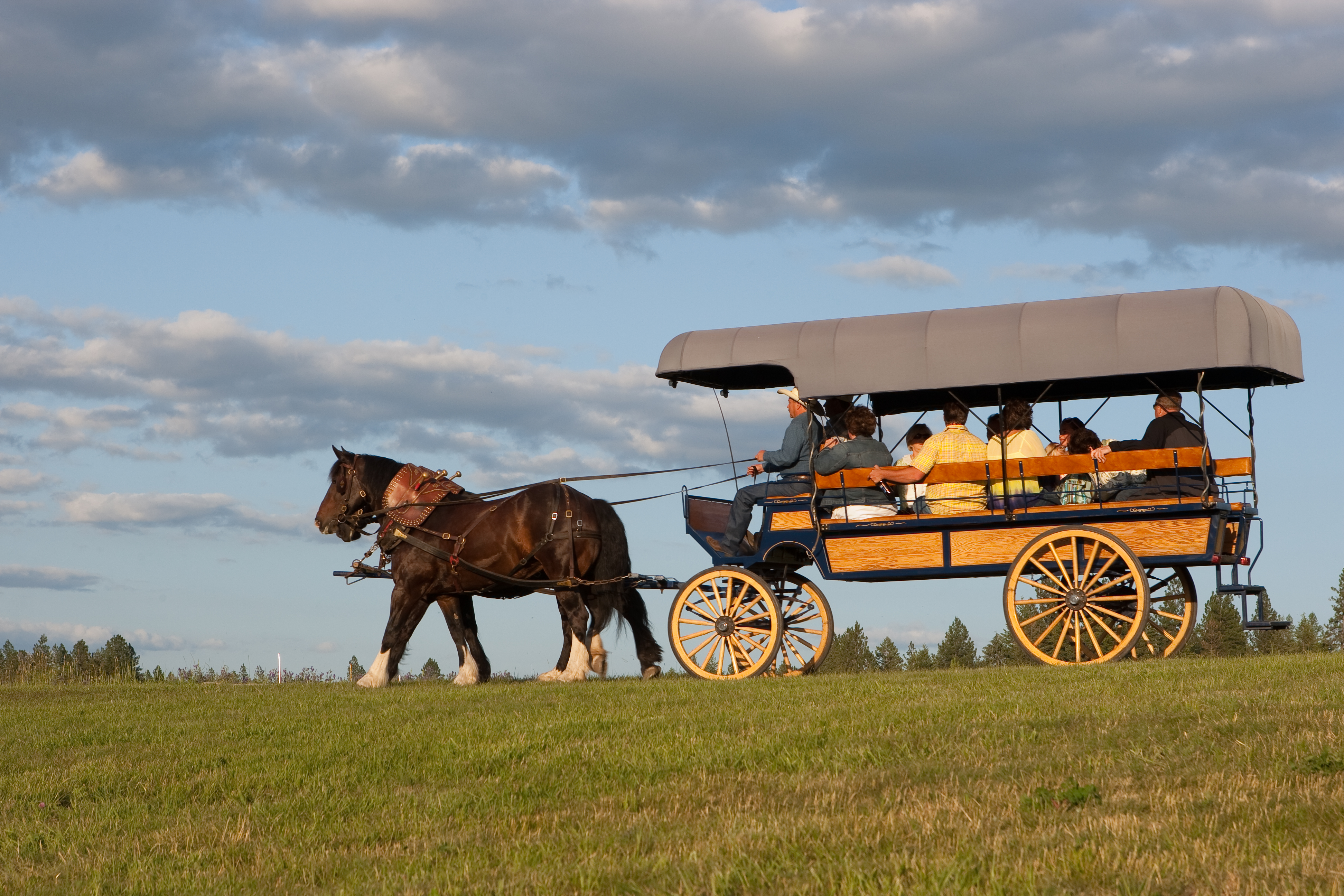 settlers-creek-wagon-ride-1-2-copy